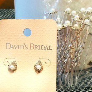 Beautiful Matching Earring and Hair Pin Set